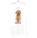 Kalender_huisdieren_januari.jpg