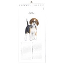 Kalender_huisdieren_oktober.jpg
