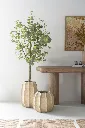 PYRULA_M_L_SFEER.webp