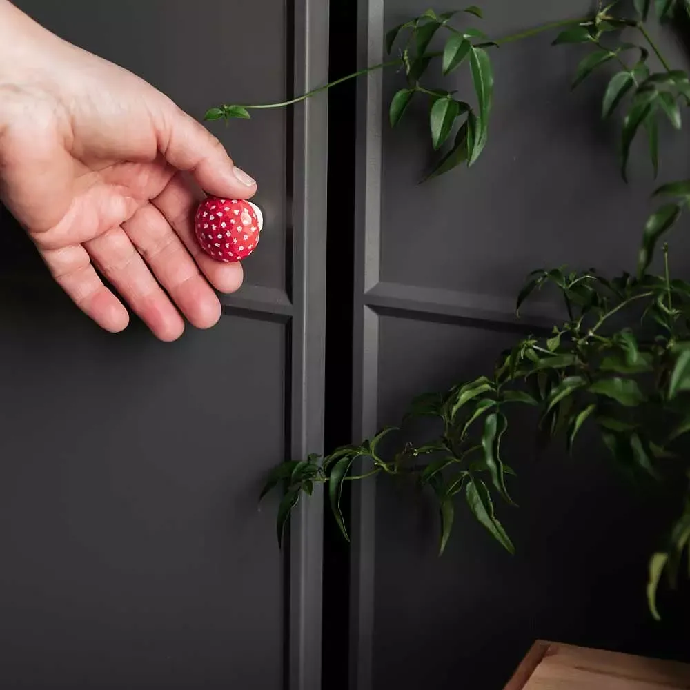 CabinetKnob_FlyAgaric_Lifestyle-3_WG4761.webp
