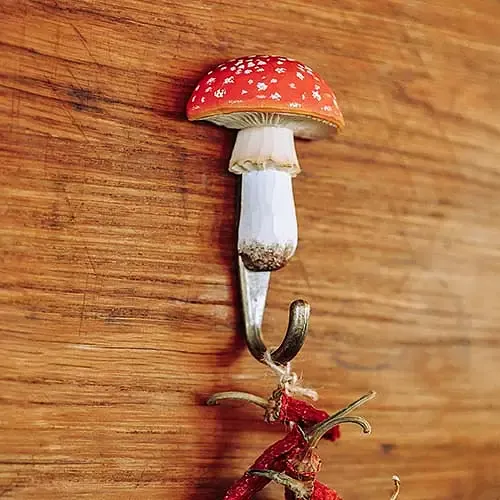 Hook_Fly_Agaric_lifestyle01_WG4558.webp