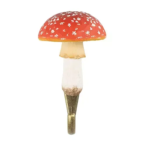 Hook_Fly_Agaric_front_WG4558.webp