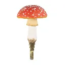 Hook_Fly_Agaric_front_WG4558.webp