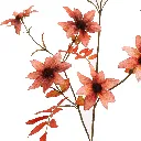 Dhalia_130cm_bruin_40510029 BR_2.webp