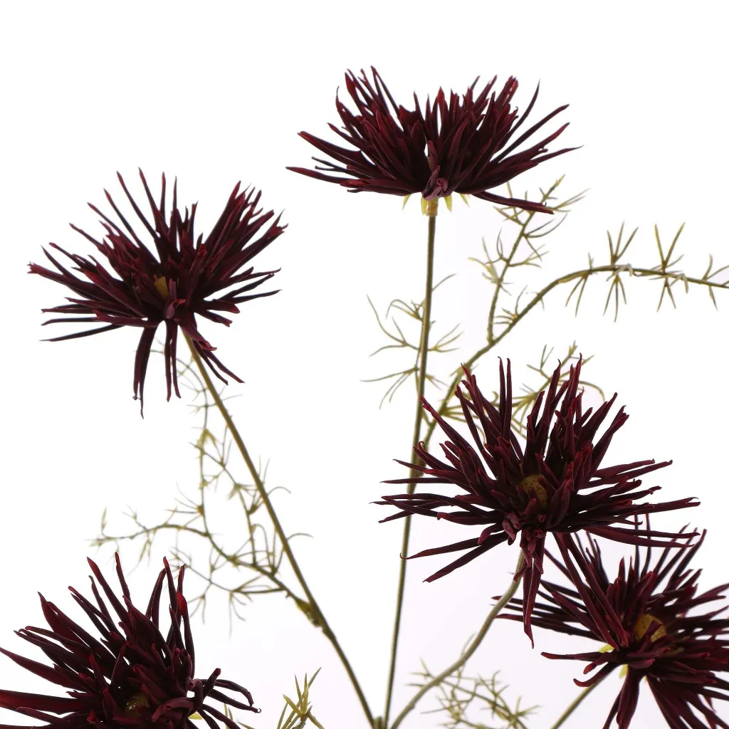 SpinChrysant_63cm_burgundy-40320030-bu-02.webp