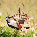 SuetBallStarFeeder_FaluRed_lifestyle01_WG3330.webp