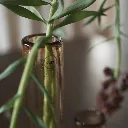 tall_vase_L+S_rust_sfeer05.webp