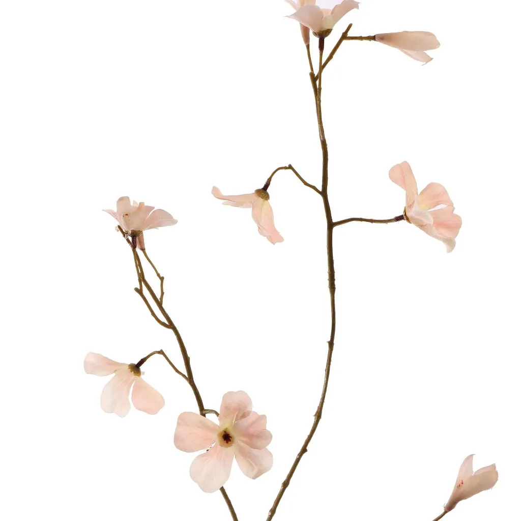 Begonia_76cm_Oranje_40410176-bei_2.webp