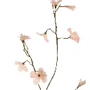 Begonia_76cm_Oranje_40410176-bei_2.webp