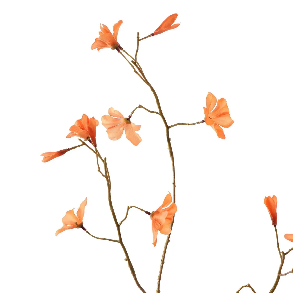 Begonia_76cm_Oranje_40410176-or_2.webp
