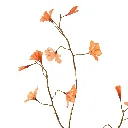 Begonia_76cm_Oranje_40410176-or_2.webp