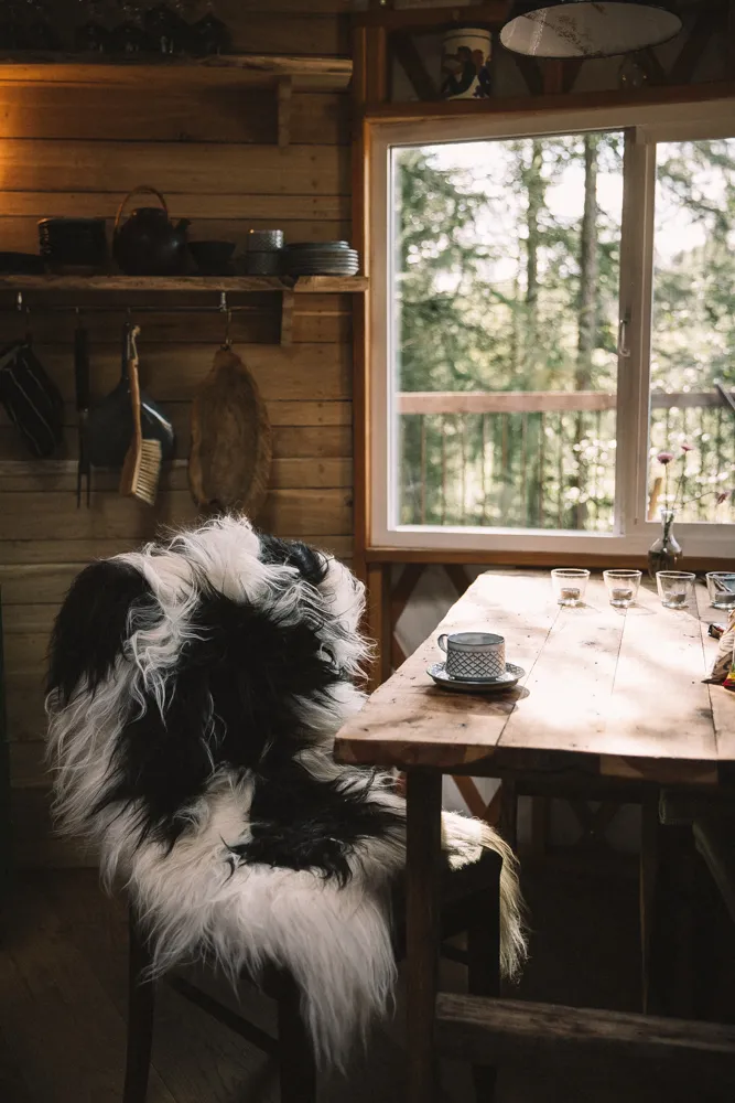 Sheepskin_Iceland_LongWool_Spotted_sfeer3_NCL1003 9481001042373 3.webp