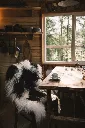 Sheepskin_Iceland_LongWool_Spotted_sfeer3_NCL1003 9481001042373 3.webp