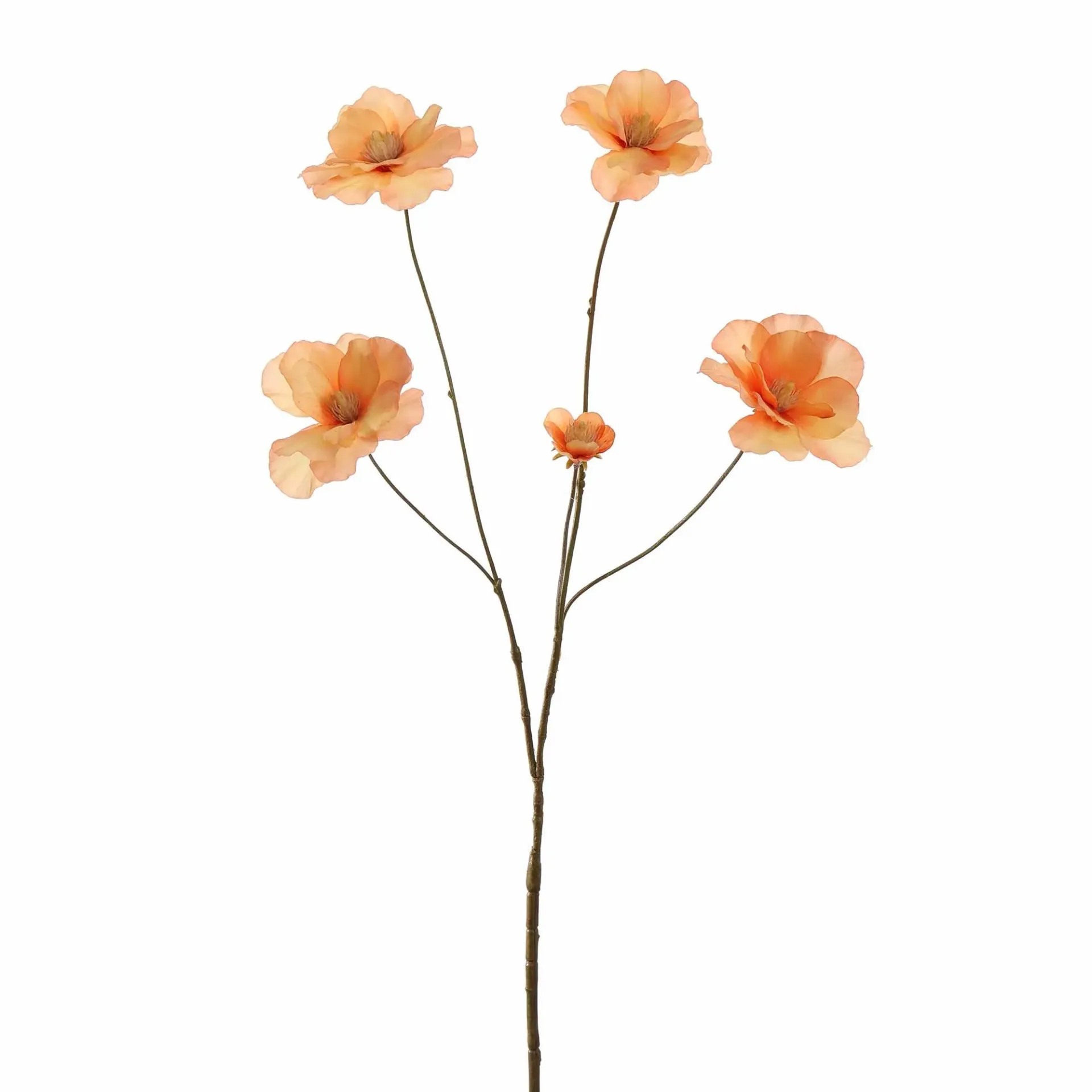 [JAS-40510072-PE] Ranonkel Peach