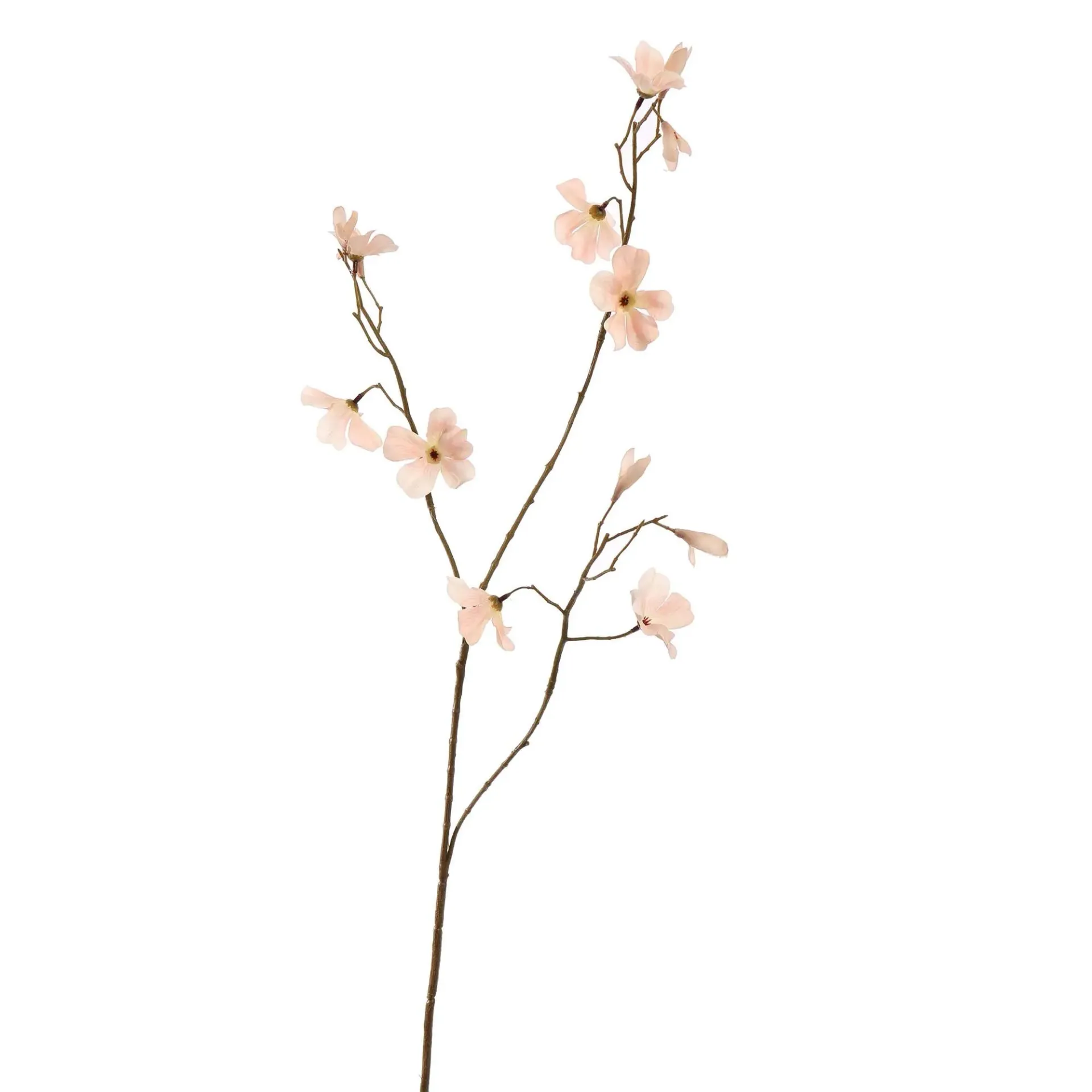 [JAS-40410176-BEI] Begonia Beige