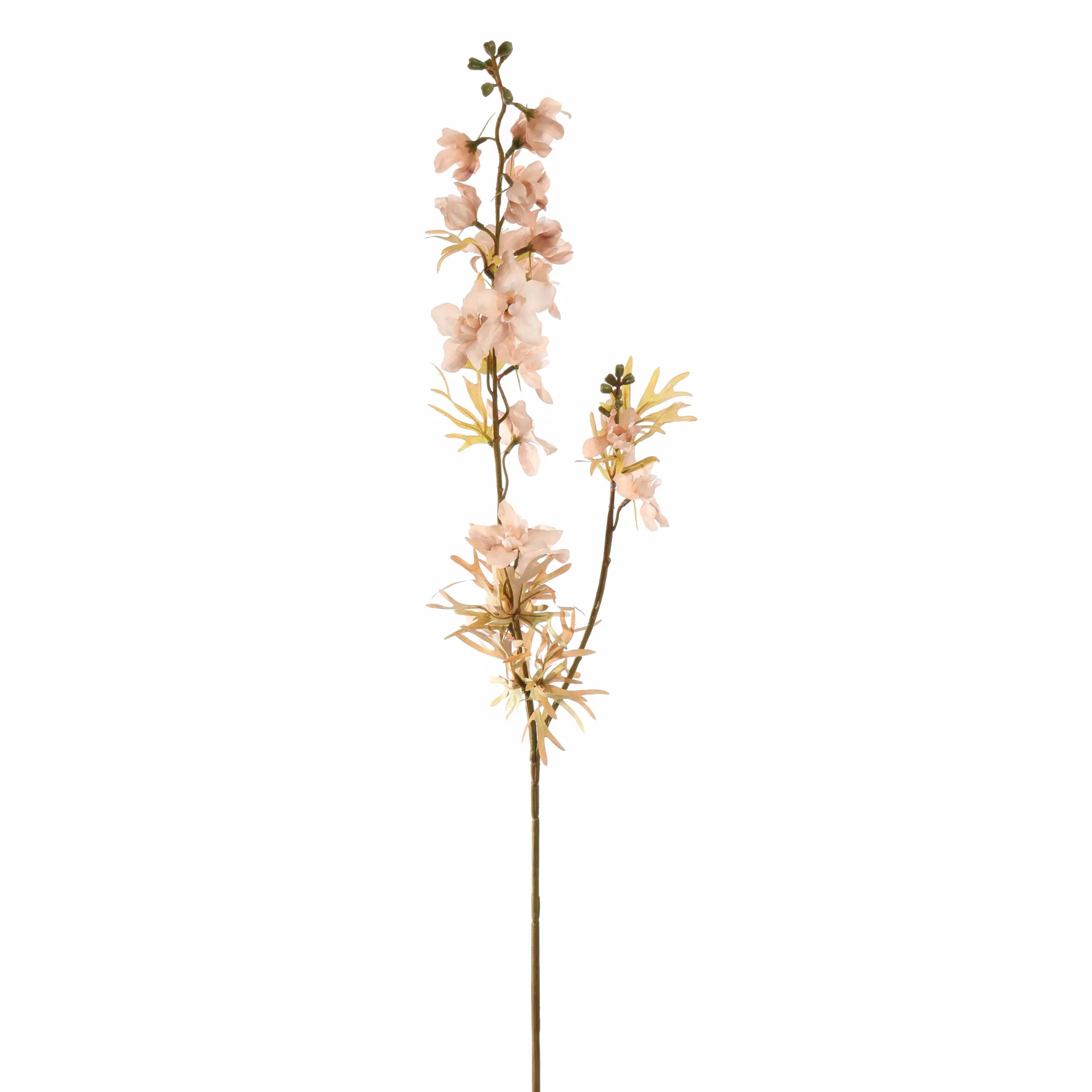 Ridderspoor Beige