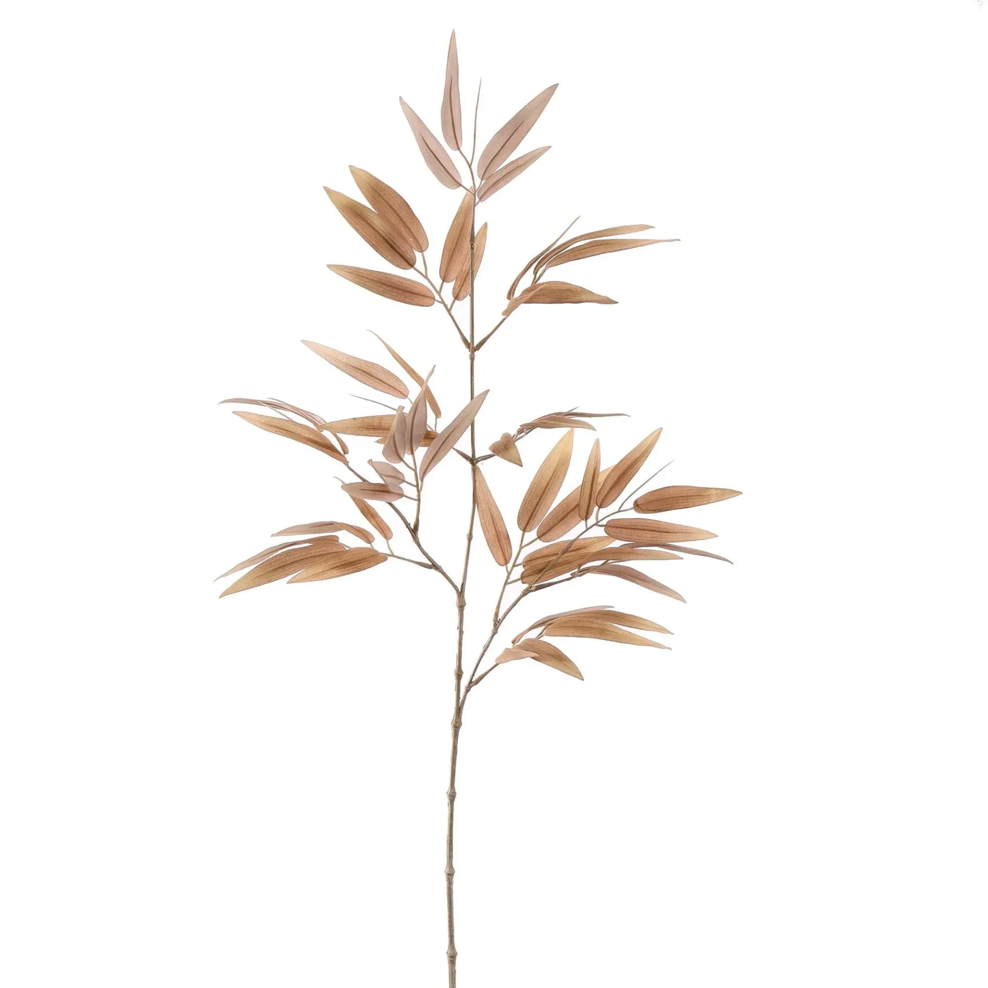Bamboe Beige