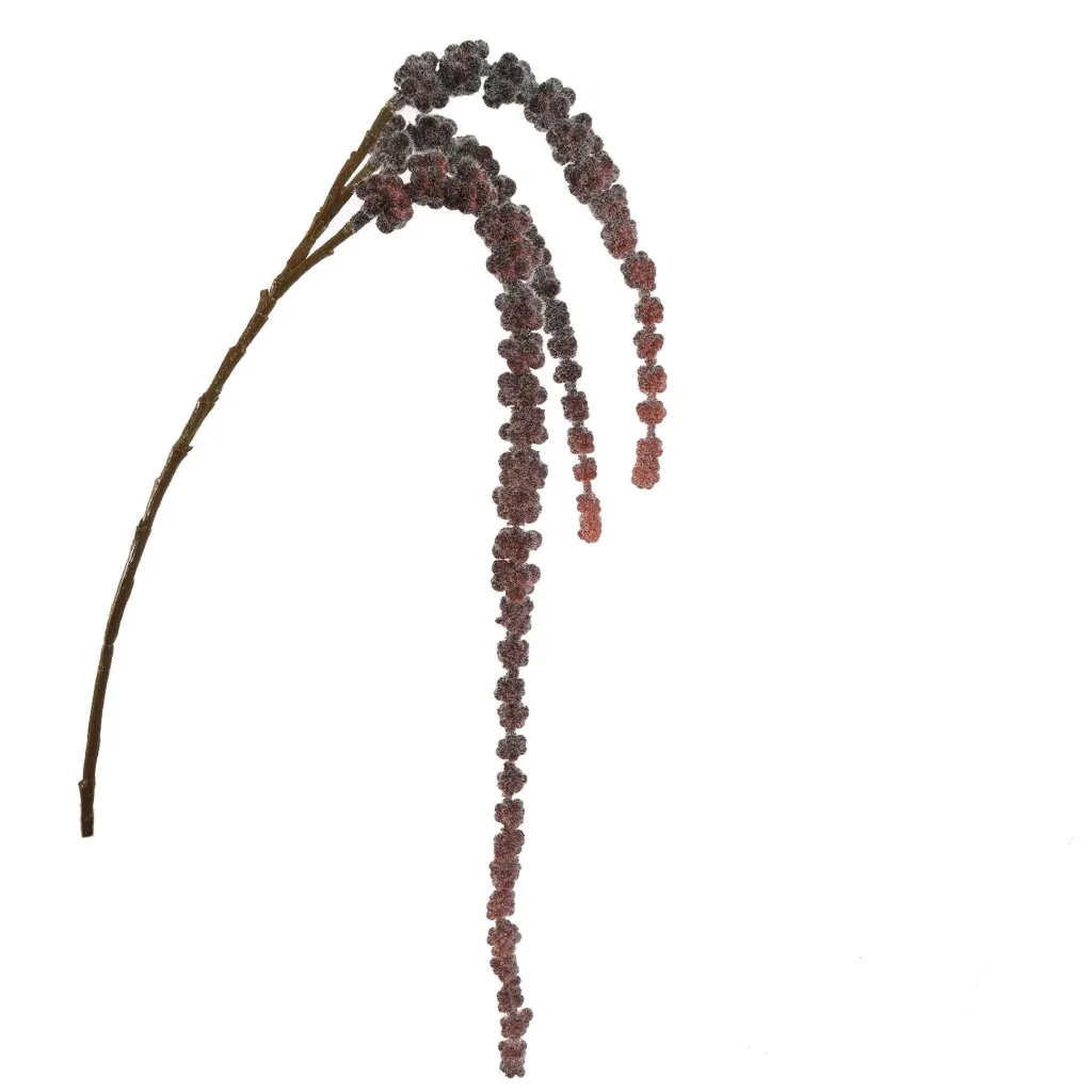 [JAS-12310090-BU] Amaranthus Burgundy