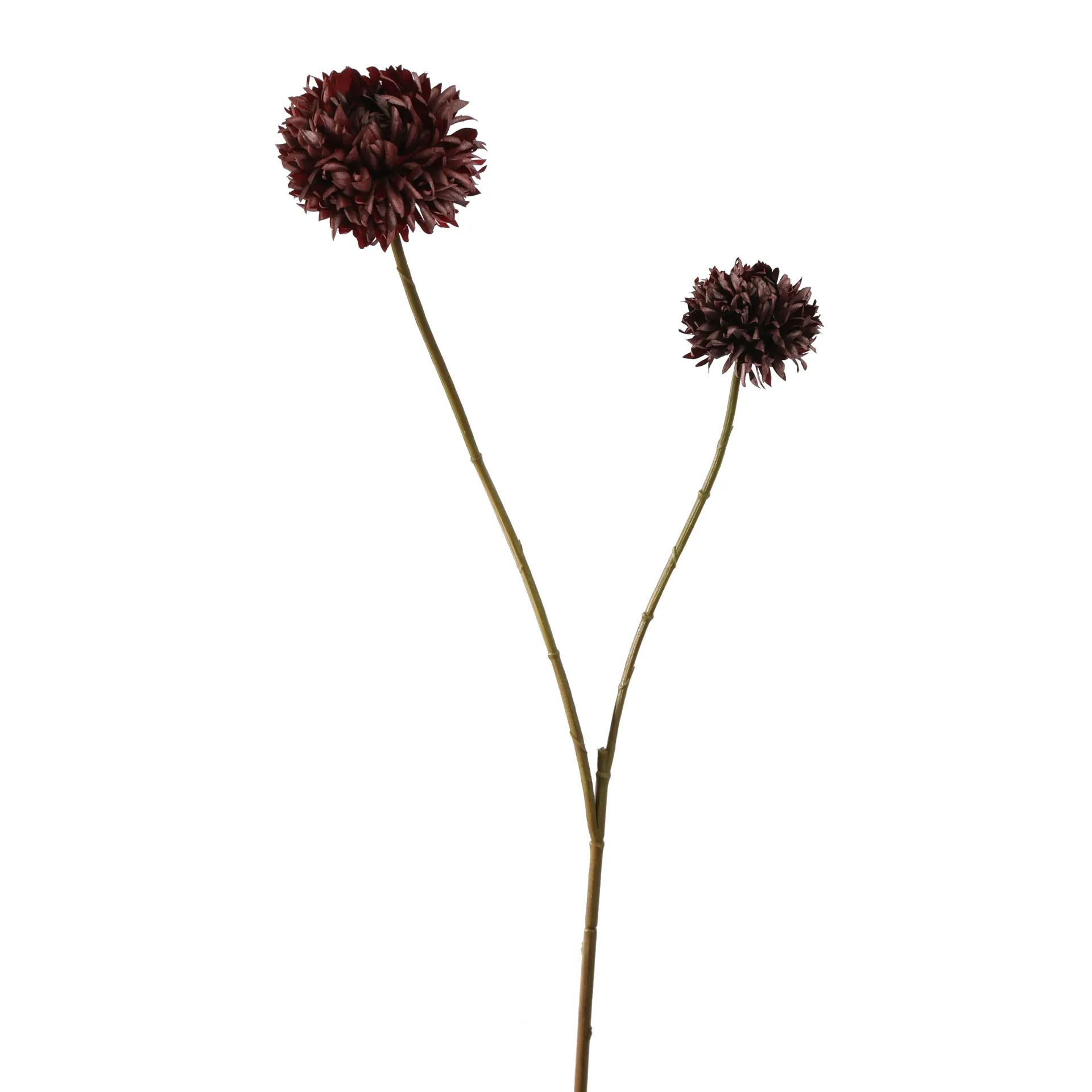 Balchrysant Burgundy