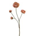 Pioen Bruin Roze
