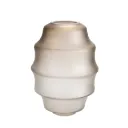 Icterus Vaas L