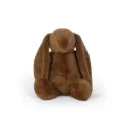 Bunny Teddy Brown
