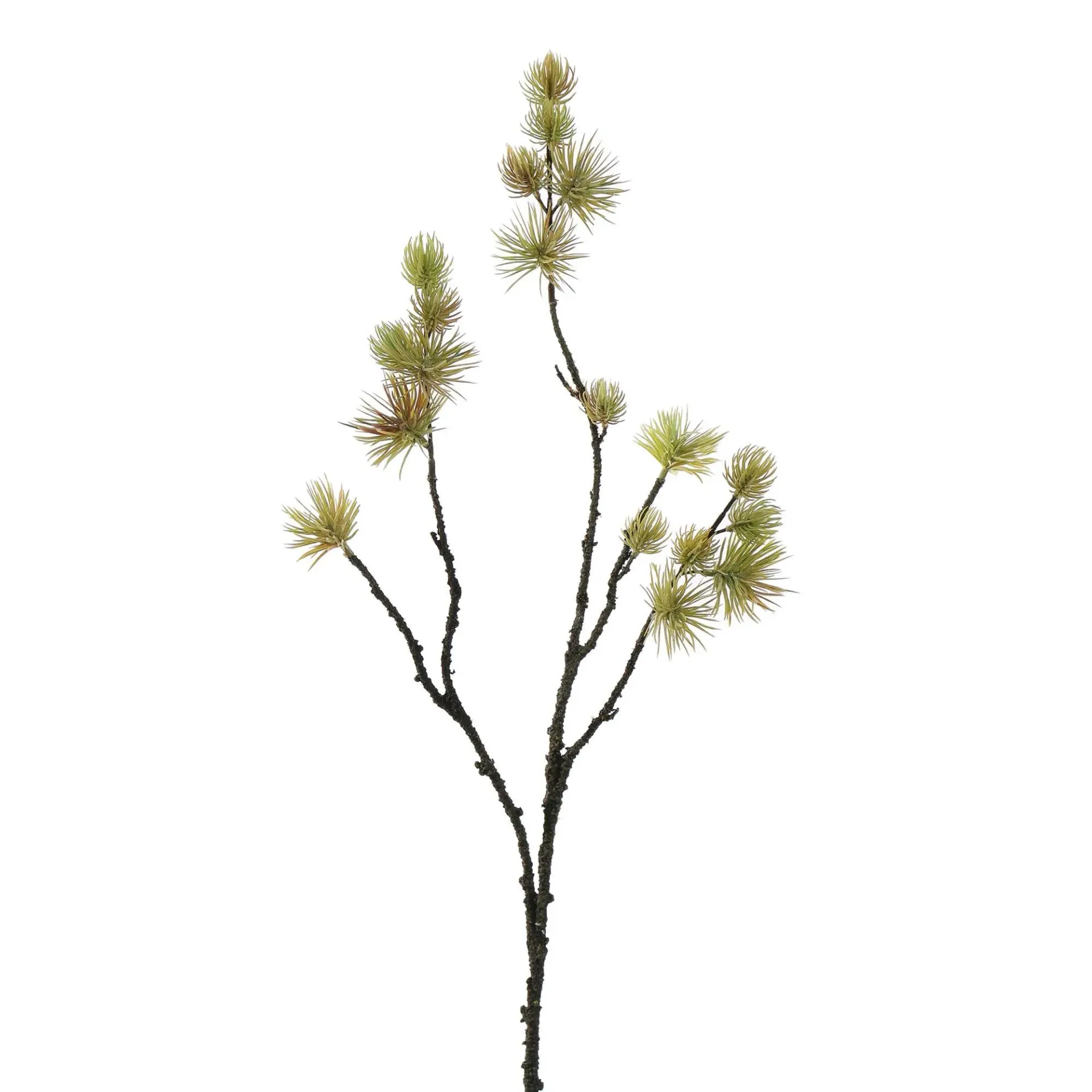 [JAS-98210046-LTGR] Dennetak Lichtgroen