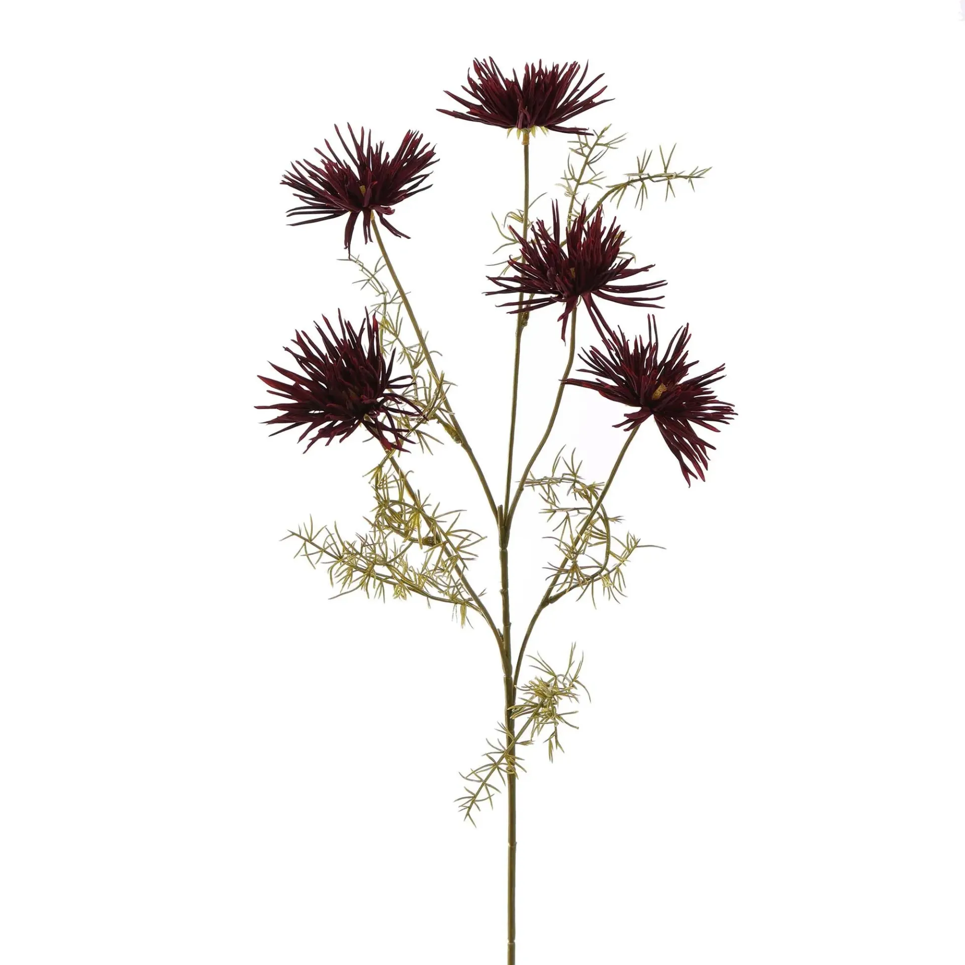 [JAS-40320030-BU] Spinchrysant Burgundy