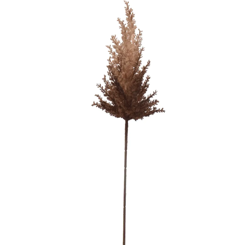 [JAS-12240035-BR] Pampas Bruin