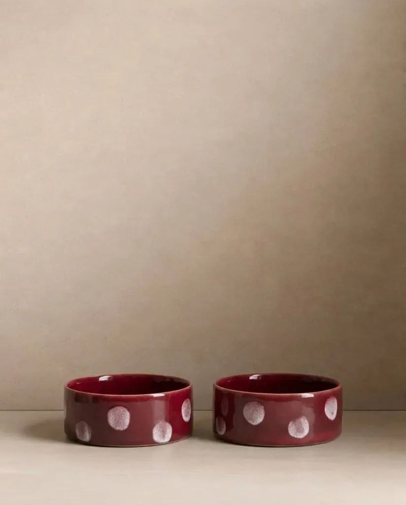 Pop Dots Pet Eetkom Set van 2